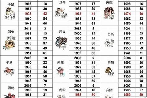 鼠的種類 1991生肖幾歲